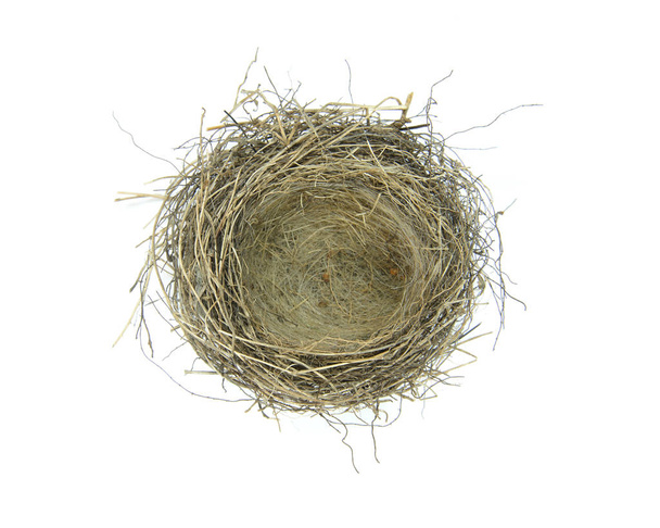 Prázdné hnízdo ptáci - Fotografie, Obrázek