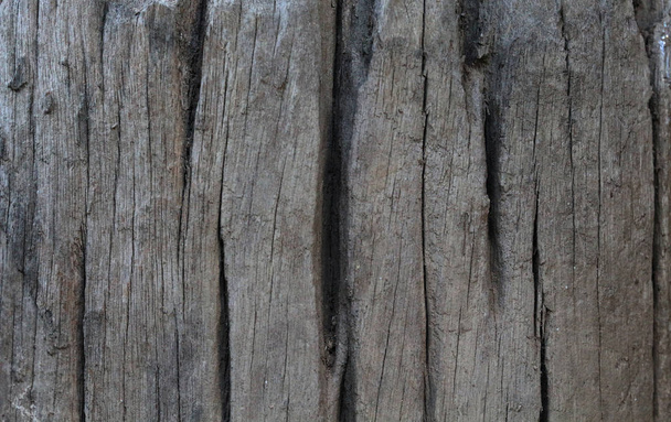 Zdjęcia Stare drewno, naturalny kolor, tło. - Zdjęcie, obraz
