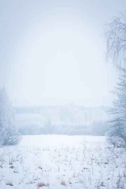 Polish winter landscape  - Foto, Imagem