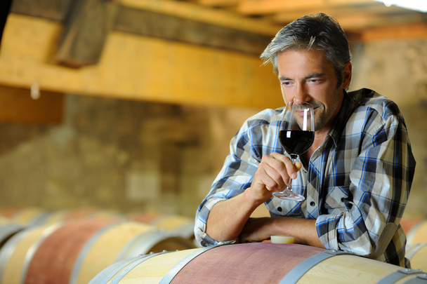 Winemaker tasting red wine in winery - Φωτογραφία, εικόνα