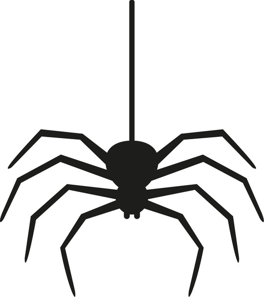 Spider hanging on a thread - Vector, Image