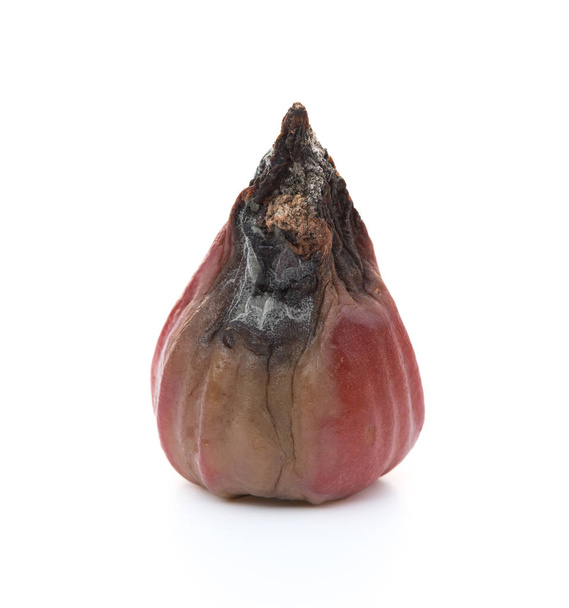 rotten wax apple on a white background - Photo, Image