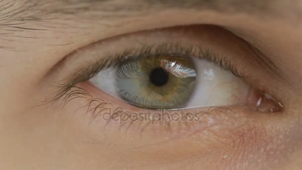 Lähikuva Vihreä silmä avautuu, Yksityiskohta Pupilli laajenee. Valkoihoisen miehen etninen tausta
 - Materiaali, video