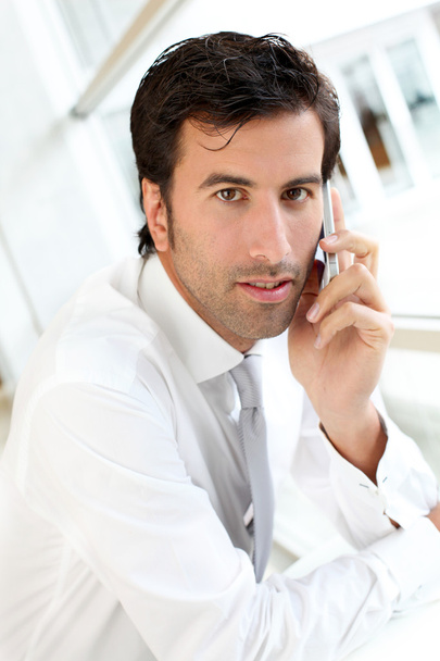 Portrait of businessman talking on mobile phone - Foto, immagini
