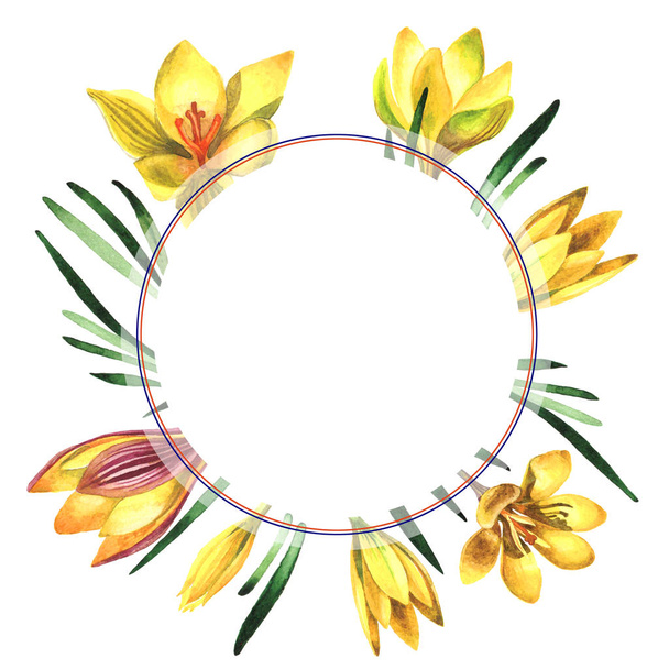 Wildflower crocuses flower frame in a watercolor style isolated. - Foto, imagen