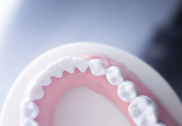 Modèle de dentisterie dentaire
 - Photo, image