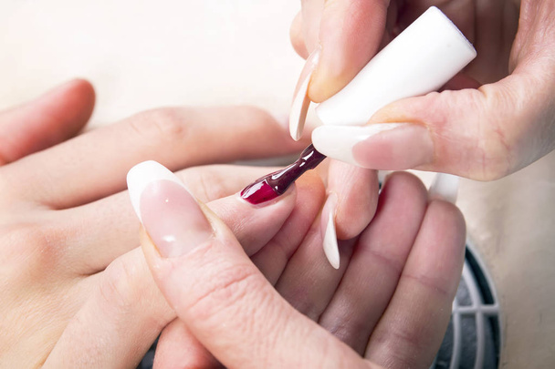 Manicure in beauty shop.  - Photo, image