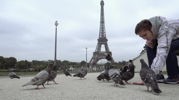 Frau füttert Tauben gegen Eiffelturm - Filmmaterial, Video