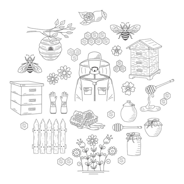 Vector honey collection with beekeeping elements - Vector, Image