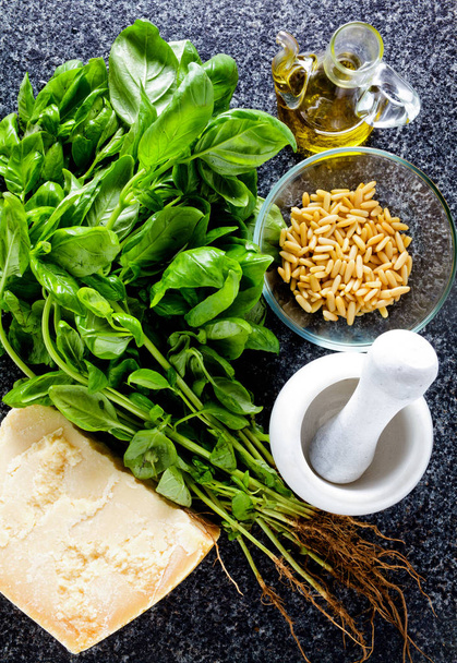 ingredients for pesto from basil leaves: pine nuts, olive oil, p - 写真・画像