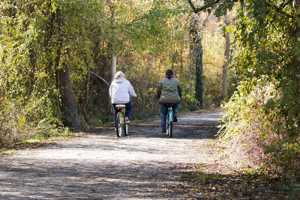 Faire du vélo dans les bois avec un ami
 - Photo, image