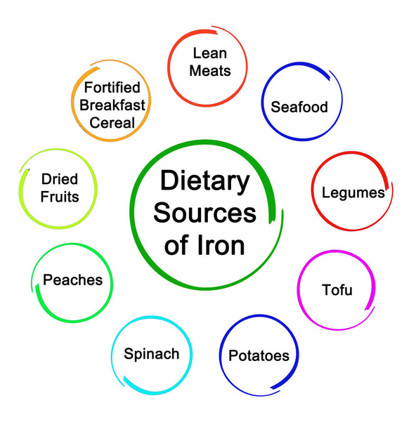  Fuentes dietéticas de hierro
 - Foto, Imagen