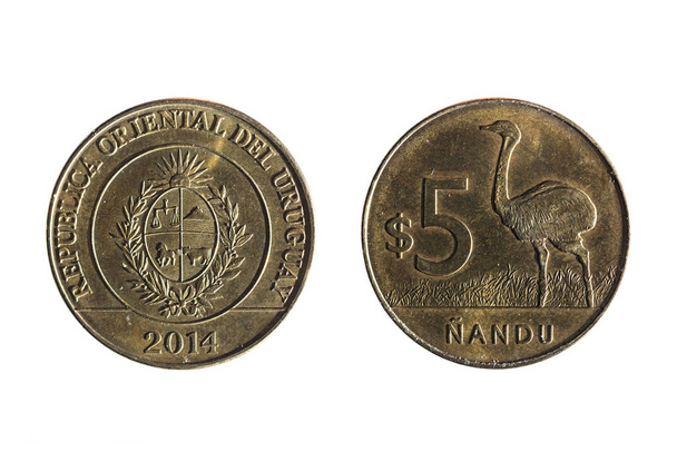 vijf peso Uruguayaanse valuta - Foto, afbeelding