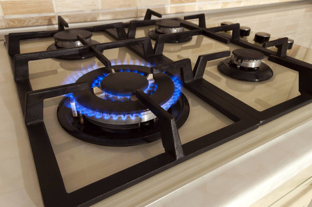 Крупним планом знімок синього вогню з побутової кухонної плити. Газова плита
 - Фото, зображення