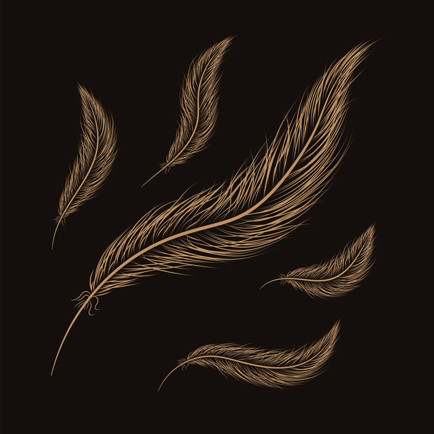 set of feathers are hand-drawn on a black background - Вектор,изображение
