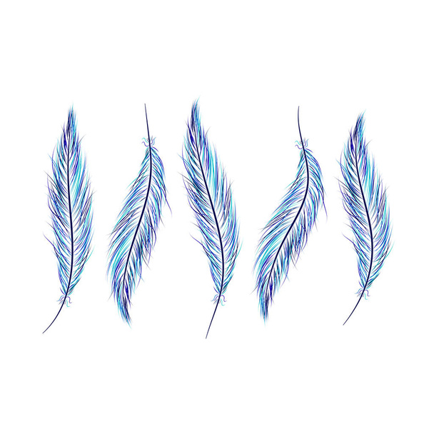 set of feathers are hand-drawn on a white background - Διάνυσμα, εικόνα