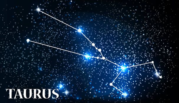 Symbol Taurus Zodiac Sign. Vector Illustration. - Vector, Imagen