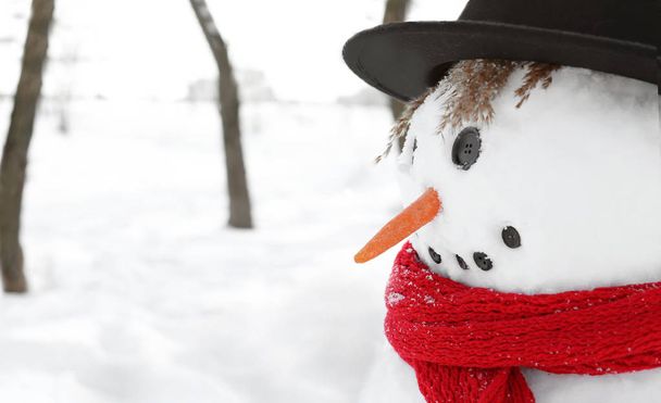 Funny snowman in wintertime - Foto, imagen
