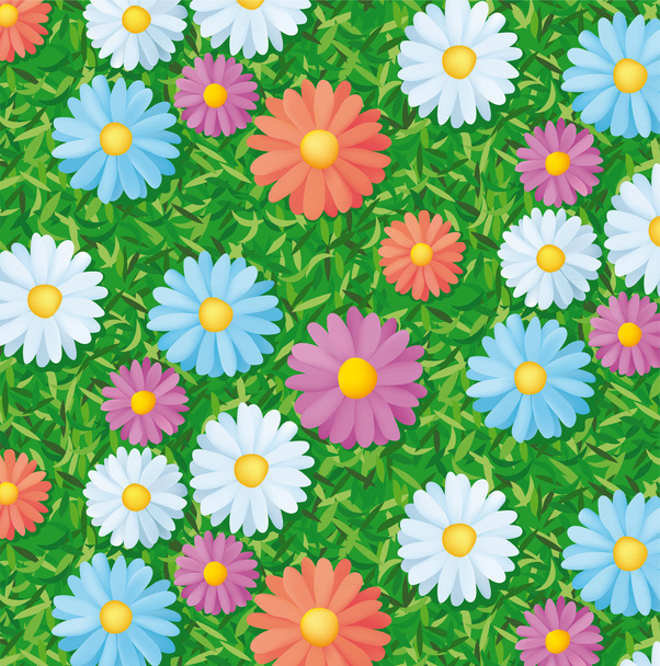 Pattern with flowers - Vetor, Imagem