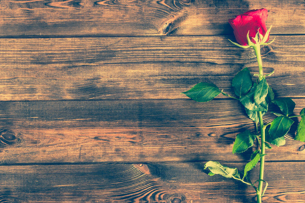 Women's day flowers or wedding invitation with red rose, overhead - Zdjęcie, obraz