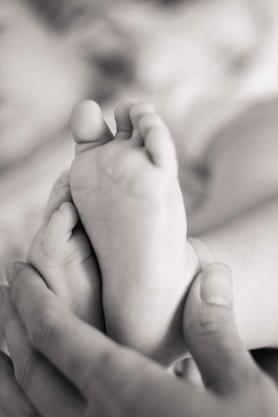 Babyfüße in den Händen der Mütter. Nahaufnahme. Weicher Fokus - Foto, Bild