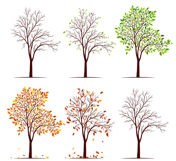 Ağaç vektör mevsimlerin - Vektör, Görsel