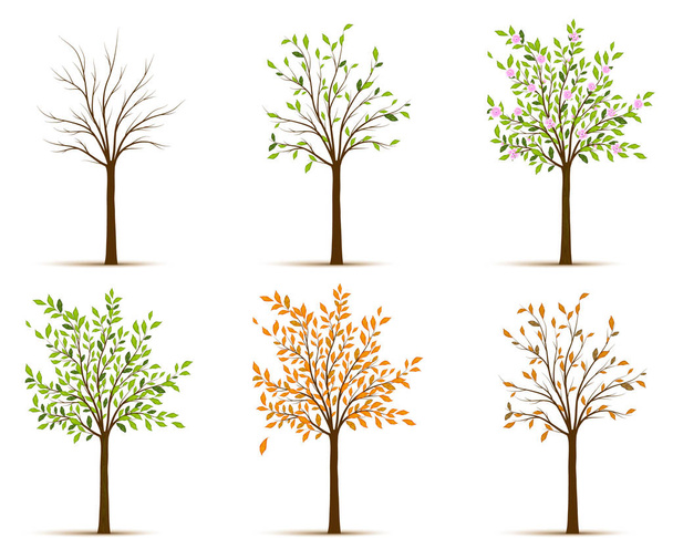 Ağaç vektör mevsimlerin - Vektör, Görsel