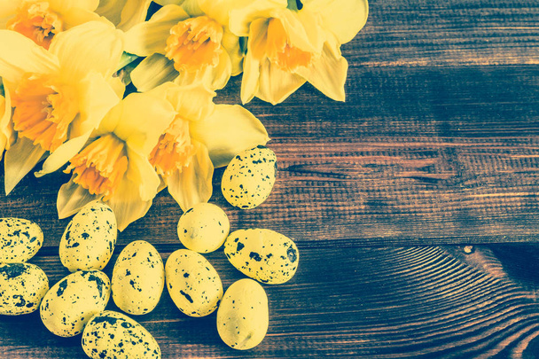 Beautiful daffodils and easter eggs useful as easter greeting card, copy space - Фото, зображення