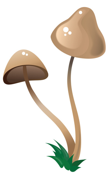 Mushroom - Διάνυσμα, εικόνα