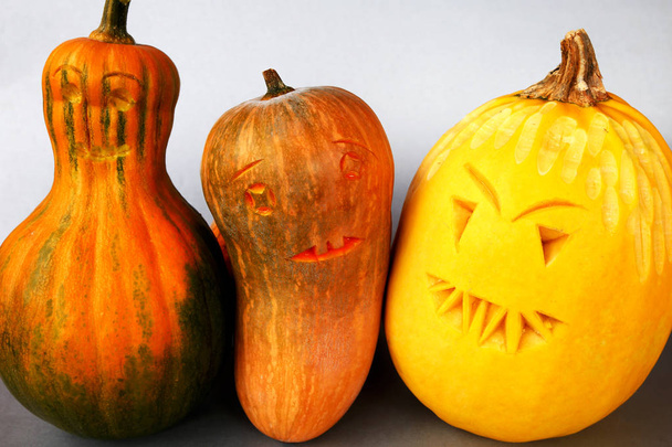 pumpkin harvest for decoration or for Halloween photo for micro-stock - Φωτογραφία, εικόνα