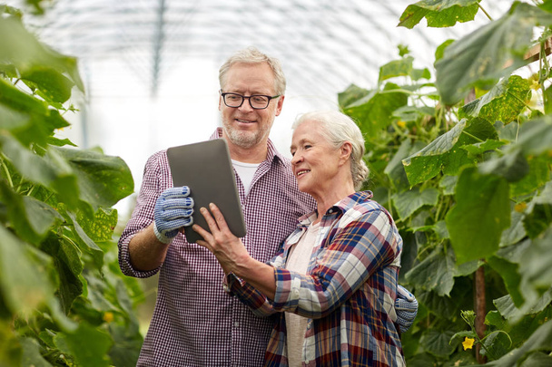 senior couple with tablet pc at farm greenhouse - Zdjęcie, obraz
