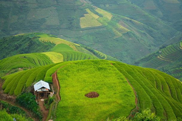 Domov Hmong hory  - Fotografie, Obrázek
