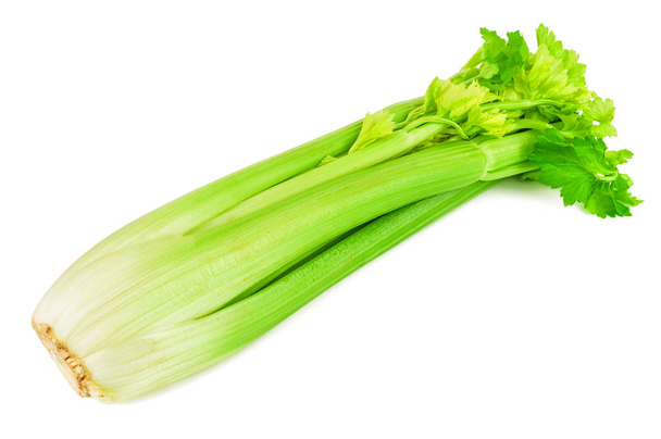zelená celerová větvička izolovaná na bílé - Fotografie, Obrázek