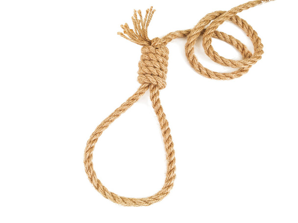 rope knotted in noose isolated on white - Foto, Imagem