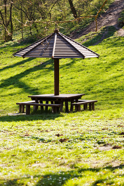 piknik ormanda, Not alan sığ derinliği için yer - Fotoğraf, Görsel
