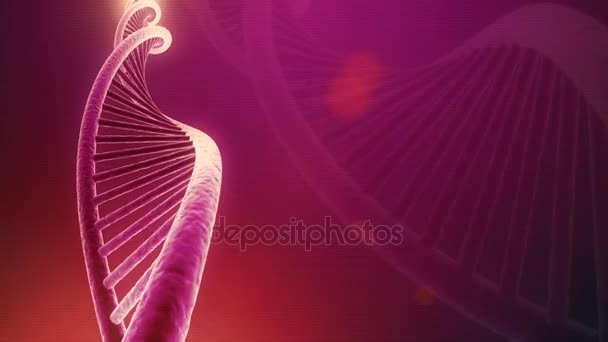 DNA rotante Seamless Loop
 - Filmati, video