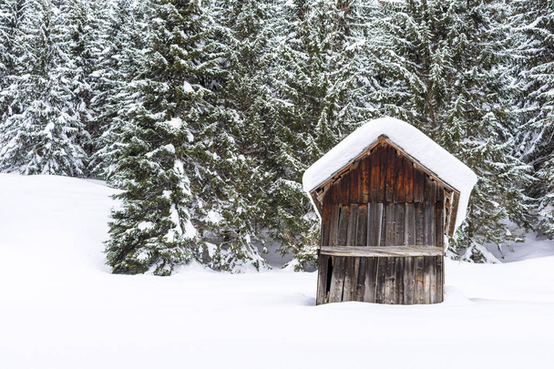 Paisaje del bosque de montaña de invierno con pequeño cobertizo de madera y árboles cubiertos de nieve
 - Foto, imagen