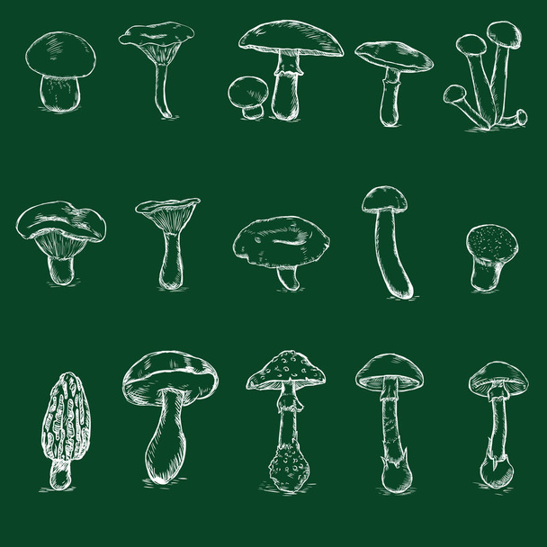 Set of Chalk Mushrooms - Vector, Image