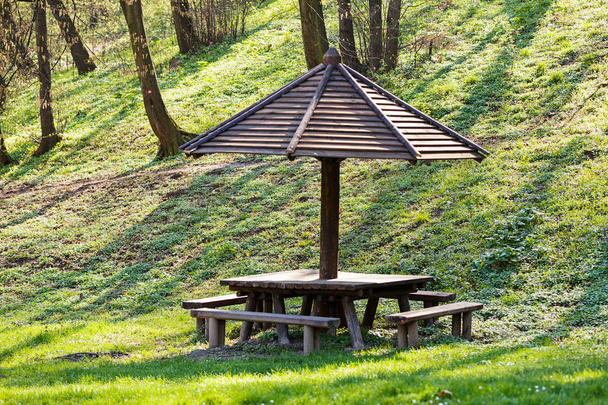 place for picnic in the woods, note shallow depth of field - Photo, Image