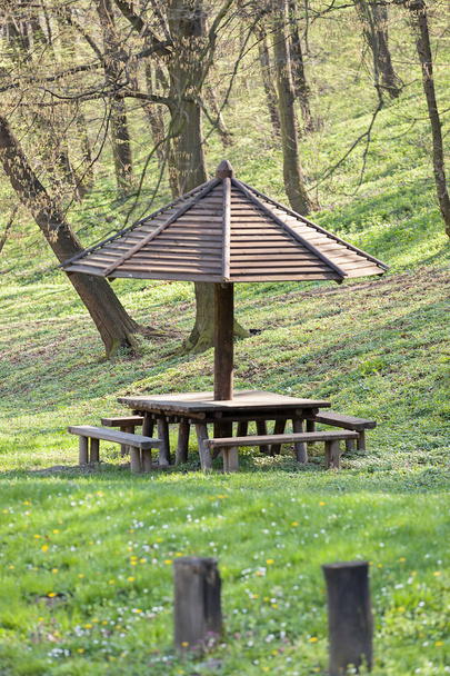 lugar para picnic en el bosque, nota poca profundidad de campo
 - Foto, imagen
