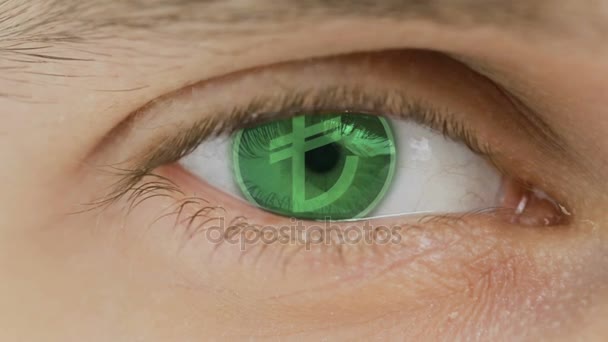 Closeup of eye with computer text overlayed. Zoom in centr. sign of Turkish lira - Footage, Video