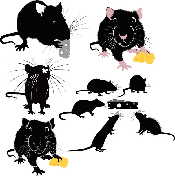 myši se sýrem - Vektor, obrázek