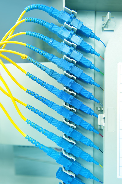 Fiber optik ağ kabloları yama paneli ve geçiş - Fotoğraf, Görsel