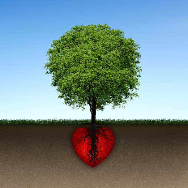 Tree and root of red heart - Photo, Image