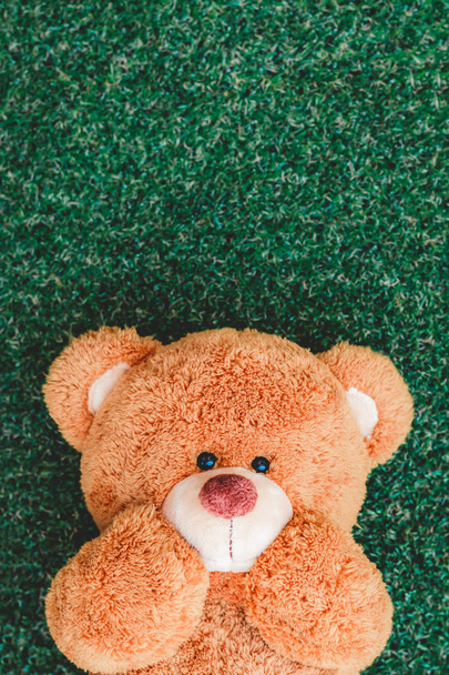 Cute teddy bear on green grass background - Foto, afbeelding