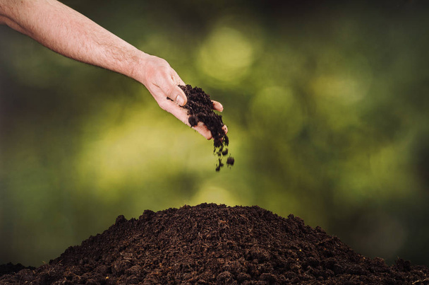 Hand pouring black soil on green plant bokeh background - Foto, Imagen