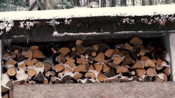 Stos drewna opałowego, pokryte śniegiem, 4k - Materiał filmowy, wideo