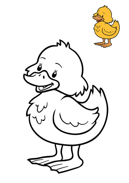 Coloring book, Duck - Photo, Image