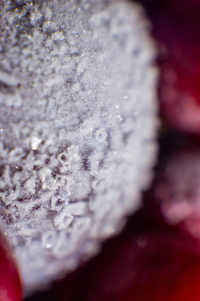Frozen fruits beautiful macro picture - Foto, imagen