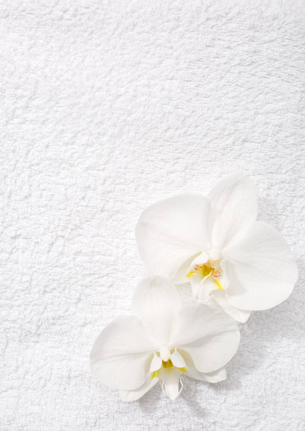 Dvě orchideje leží na bílé Froté ručník.  - Fotografie, Obrázek